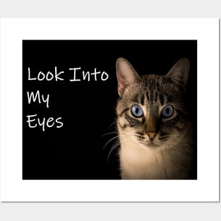 LOOK INTO MY EYES BLUE EYED CAT Posters and Art